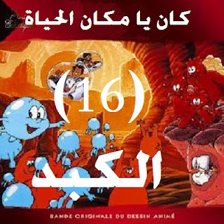 الحلقة - 16- الكبد