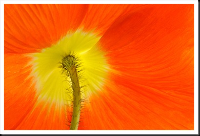 Blog_4