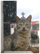 Vaticat, aka Lorenzo the Cat (lorenzo the cat)
