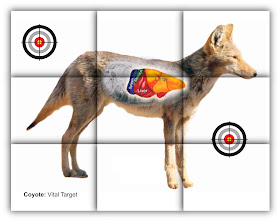 coyote vitals target