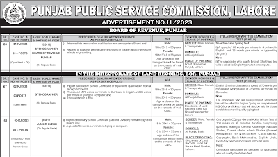 Latest Jobs in Board of Punjab Revenue