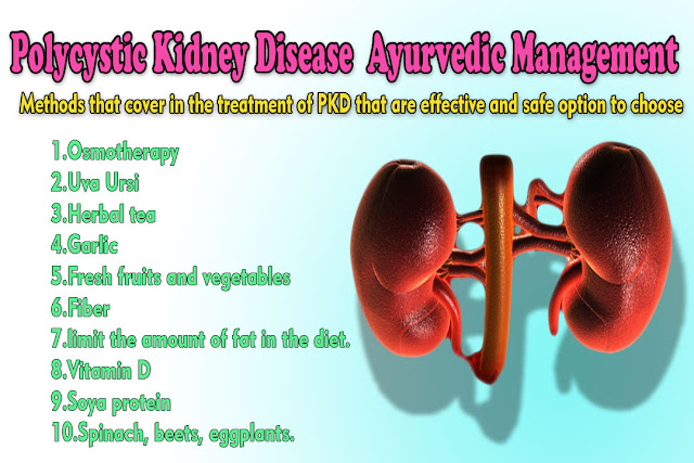 Polycystic Kidney Disease Ayurvedic Treatment – A Life Savior