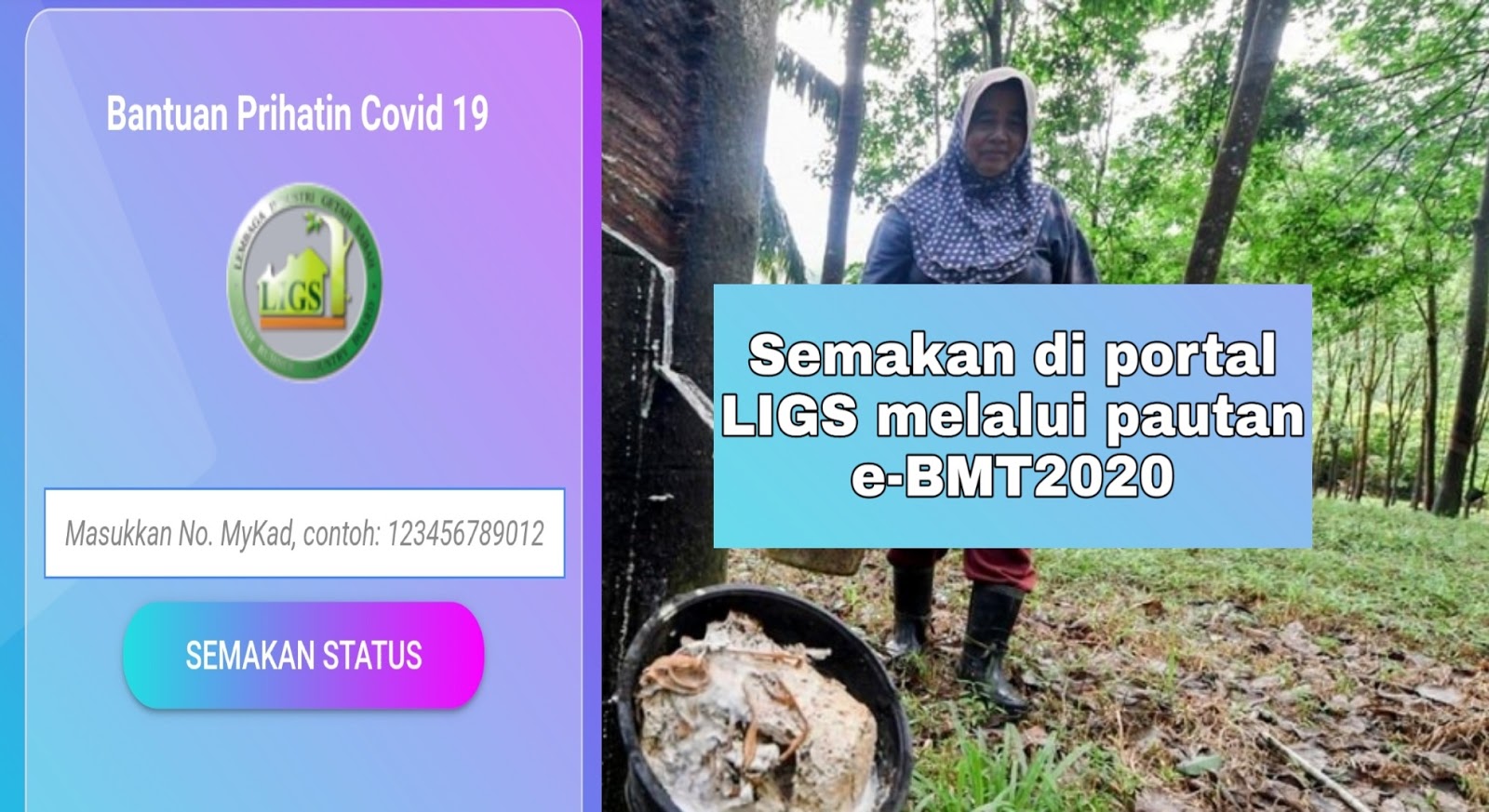 Lebih RM37 juta Bantuan Musim Tengkujuh untuk pekebun kecil getah 