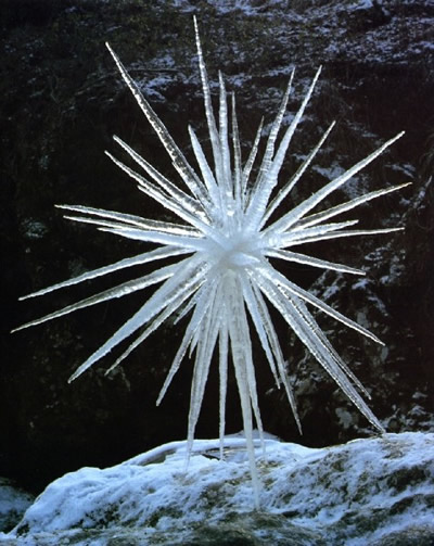 Andy Goldsworthy