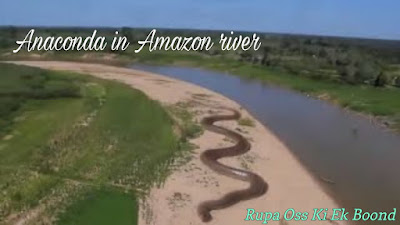 अमेजन नदी (Amazon River)