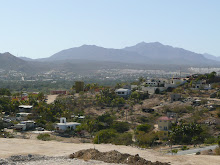 Looking northwest from the top of the hill behind the marina.