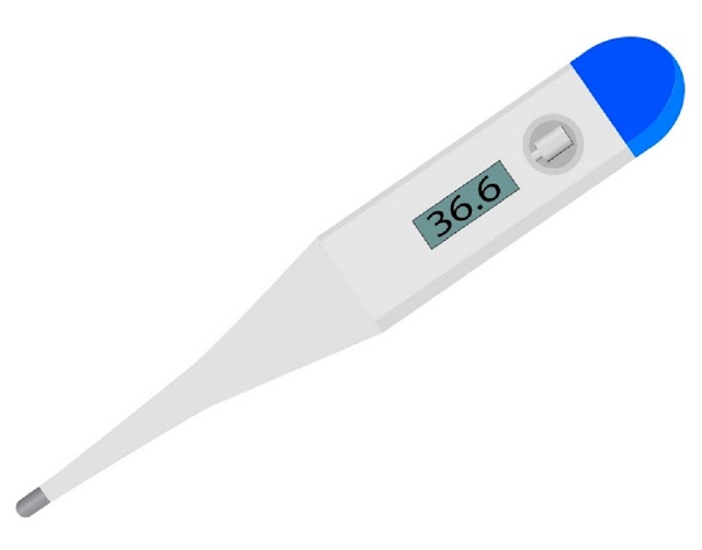 Digital Thermometer