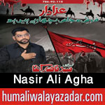 http://www.nohaypk.com/2015/10/nasir-ali-agha-nohay-2016.html