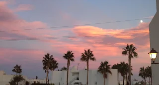 The sky outside my back window turns pink and lilac as the sun sets behind the palm trees.