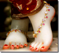 [Krishna's lotus feet]