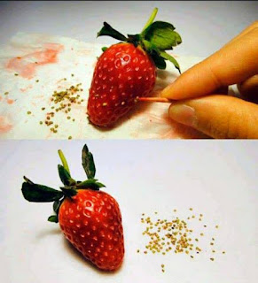 how to collect strawberry seed