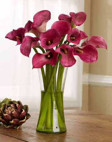 Calla lilies wedding flower Calla lily denotes beauty in the language of 