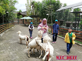 Bercuti Bandung Floating Market Kota Mini Lembang