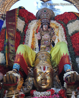 Aani,Garuda Sevai,Gopura Dharisanam ,Yesal Purappadu , Vahanam,Sri Theliya Singar, Yoga Narasimhar,Brahmotsavam ,Purappadu,Video, Divya Prabhandam,Sri Parthasarathy Perumal, Triplicane,Thiruvallikeni,Utsavam,