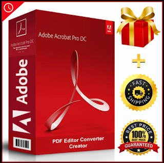 Adobe Acrobat Pro DC 2023.003.20244