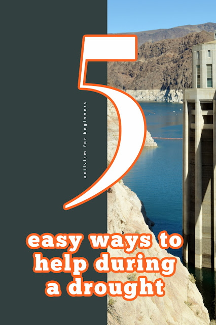 Three Easy Ways to Help the Environment During a Drought