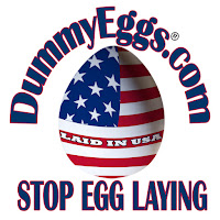 DummyEggs.com Logo