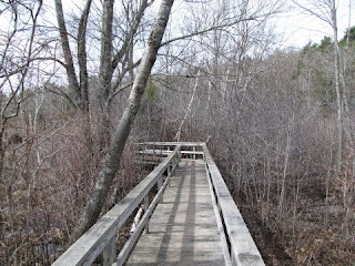 photo of Cedar Swamp, Essex, MA