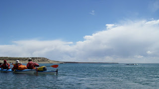 Sea Kayak and Whale Watching in Patagonia.