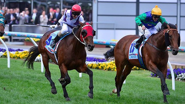 Australia: Ocean Park vince il Cox Plate a Moonee Valley. Gran finale per Glen Boss, battuti All Too Hard, Pierro e Ethiopia. 