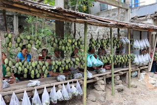 MANGO FESTIVAL