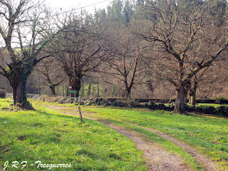 Molino de Picarín