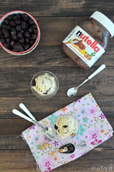 Nutella Swirl Ice Cream With Dark Chocolate Covered Hazelnuts