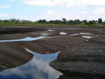 [imagetag] pitch lake 2 Melihat Keunikan Danau Aspal di Trinidad