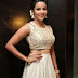 Priya Anand Latest Hot Spicy photoShoot Images HD