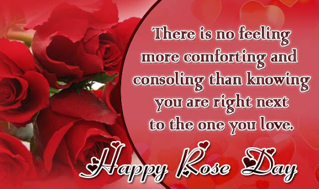 Happy Rose Day Images Happy Valentines Day