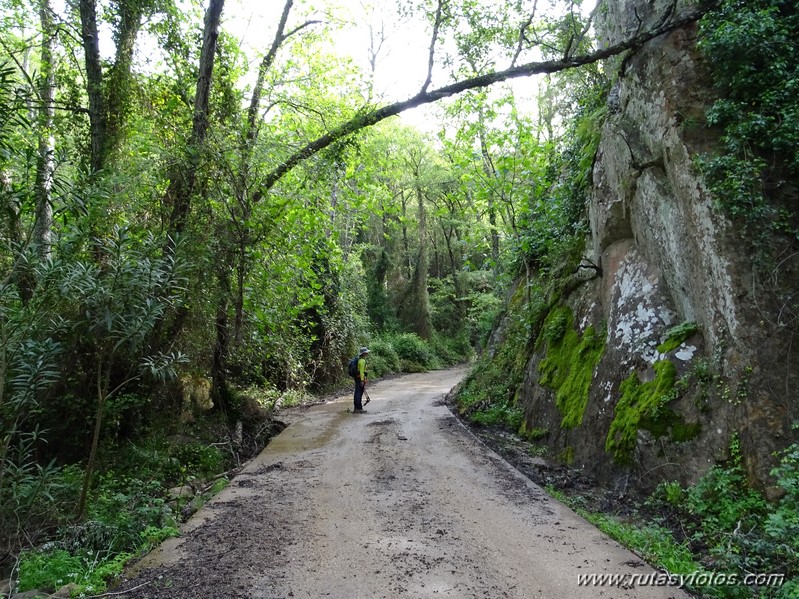 Peguera - Piedra del Padrón - Cortijo del Hato o San José de Casas Nuevas