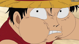 ワンピース アニメ 146話 ルフィ チェリーパイ Monkey D. Luffy | ONE PIECE Episode 146