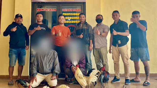 Dua Pelaku Judi Sabung Ayam Berhasil Diamankan Satuan Reskrim Polres  Manggarai