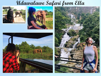 Experience the Best Udawalawe Safari from Ella with Our Expert Guides