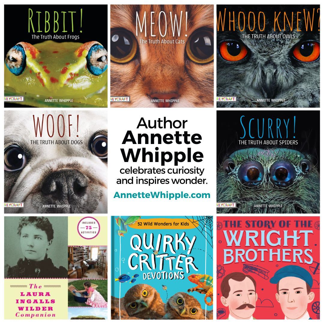 Books Annette Whipple Nonfiction