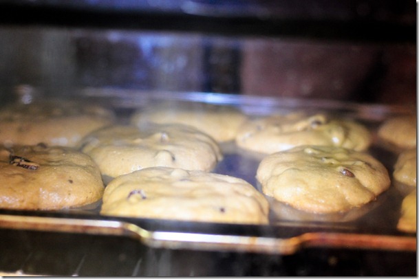 cran chocolate chip cookies