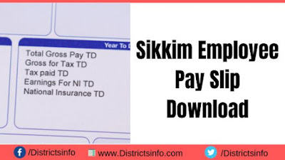 Sikkim Employee Pay Slip