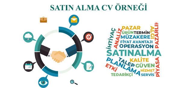 satın alma cv örneği