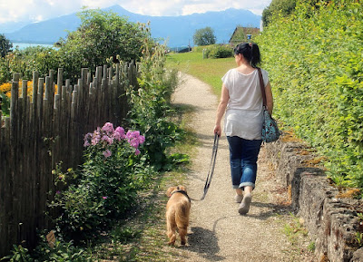 Walking Can Help You Lower Your Blood Pressure and Strengthen Your Heart