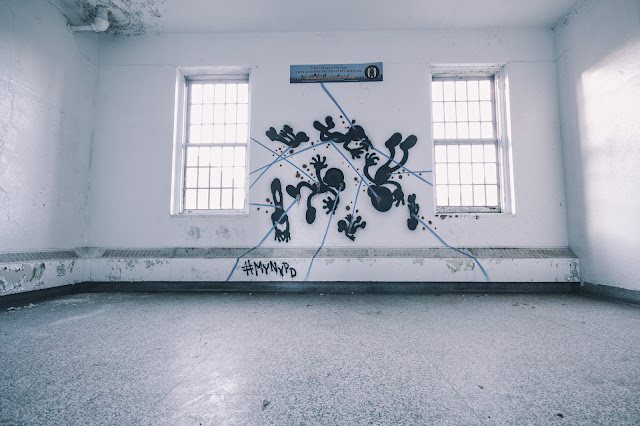 A stark, empty room with white walls featuring an abstract black graffiti art piece, between two windows with sunlight streaming in.