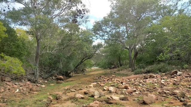 RIO POÇO VERDE, UM DOS AFLUENTES DO RIO SÃO FRANCISCO NO ESTADO DE SERGIPE