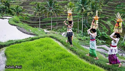 Subak, Bali