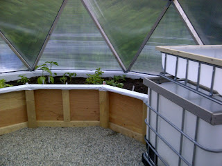 IBC Tote aquaponics tank