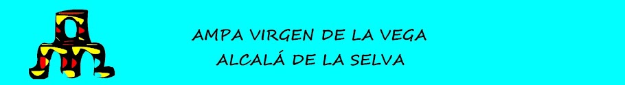 AMPA VIRGEN DE LA VEGA