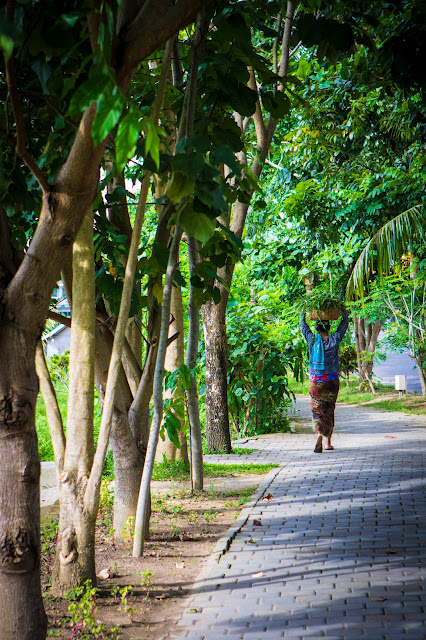 Monkey forest-Ubud-Bali