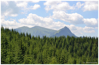 Widoki z Kopieńca Wielkiego, panorama z Kopieńca