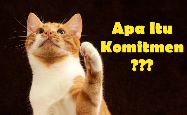 Gambar kucing sedang bertanya tanya