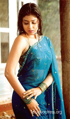 Shreya wet in Saree