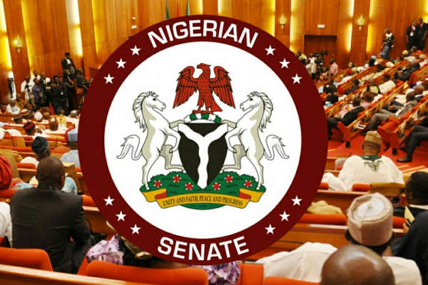 Nigeria Lawmakers Backs Establishment of ICT Institute