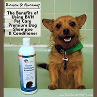 BVH Shampoo and Conditioner Review